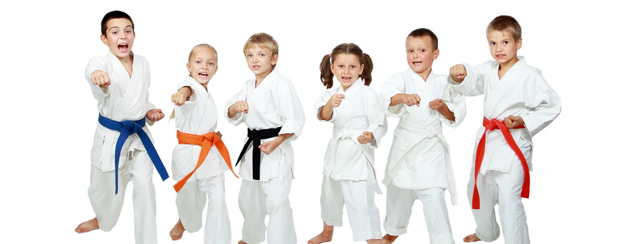 Arte Martiale Copii Berceni, Cursuri Karate Sector 4, Bucuresti